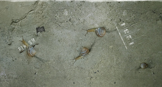 729810 (a): :2005x1080